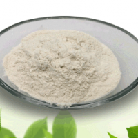 99% chitosan water soluble chitosan deacetylated chitin chaobang biological spot 1kg