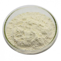 Chitosan 99% water soluble chitosan chitosan deacetylated chitin Xi'an ruierli
